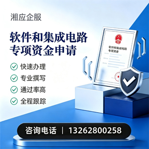 邵阳软件和集成电路专项资金申报服务