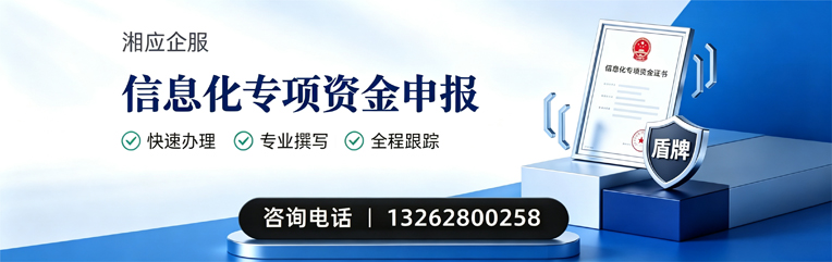 邵阳信息化专项资金申报服务