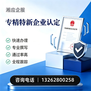 邵阳专精特新企业申报服务