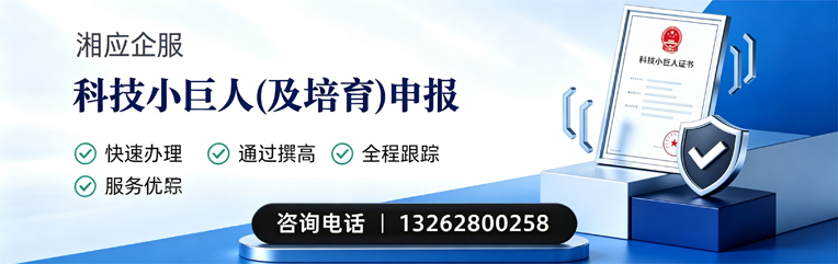 邵阳科技小巨人及培育企业申报服务