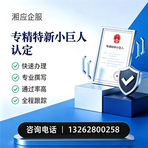 邵阳专精特新小巨人申报服务