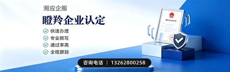 邵阳瞪羚企业认定申报服务