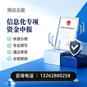 邵阳信息化专项资金申报服务