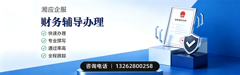 邵阳财务辅导申请服务