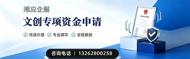 邵阳文创专项资金申报服务