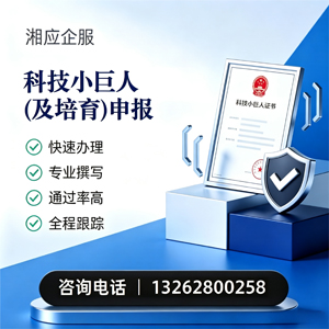 邵阳科技小巨人及培育企业申报服务