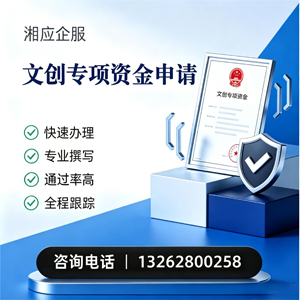 邵阳文创专项资金申报服务