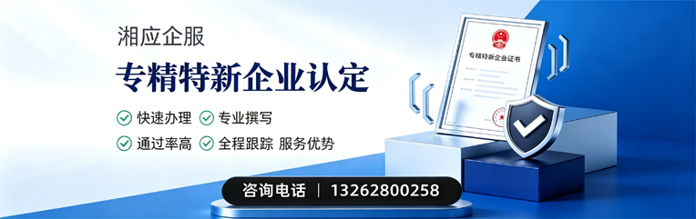 邵阳专精特新企业申报服务