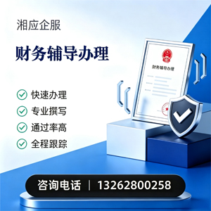 邵阳财务辅导申请服务