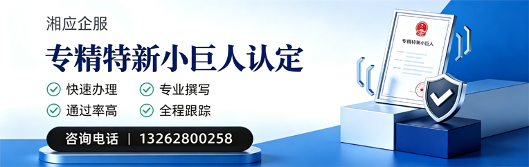 邵阳专精特新小巨人申报服务